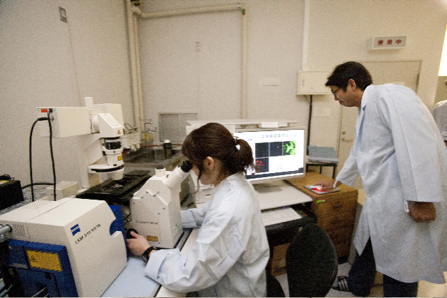 2012-laboratory